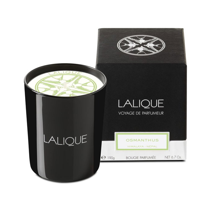 Lalique Bougie parfumée Osmanthus Himalaya Nepal