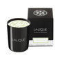 Lalique Bougie parfumée Osmanthus Himalaya Nepal