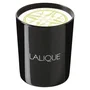 Lalique Bougie parfumée Osmanthus Himalaya Nepal