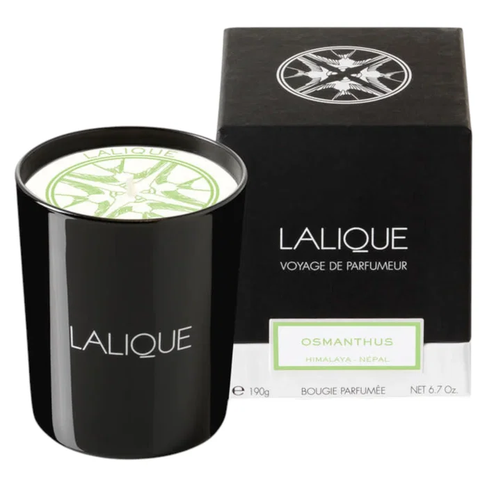 Lalique Bougie parfumée Osmanthus Himalaya Nepal