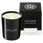 Lalique Bougie parfumée Osmanthus Himalaya Nepal