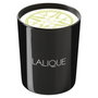 Lalique Bougie parfumée Osmanthus Himalaya Nepal
