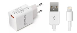CoreParts Adaptateur secteur USB 12W 5V 2.4A blanc avec câble Lightning et MicroUSB