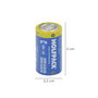 Wolfpack LINEA PROFESIONAL Piles Alcalines C - LR14 (Blister de 2 pièces)