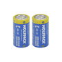 Wolfpack LINEA PROFESIONAL Piles Alcalines C - LR14 (Blister de 2 pièces)