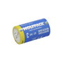 Wolfpack LINEA PROFESIONAL Piles Alcalines C - LR14 (Blister de 2 pièces)