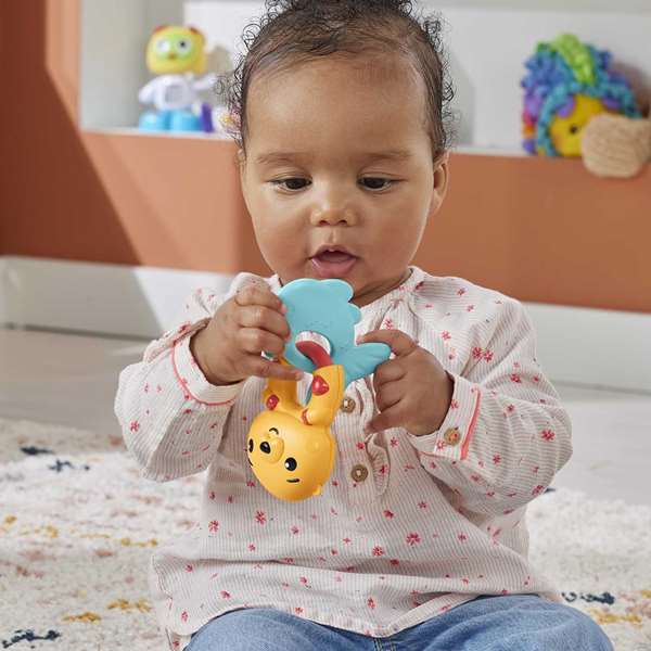 Fisher-Price - Sonajeros y mordedores animales - Série d'anneaux de dentition et hochets pour bébé, modèles assortis