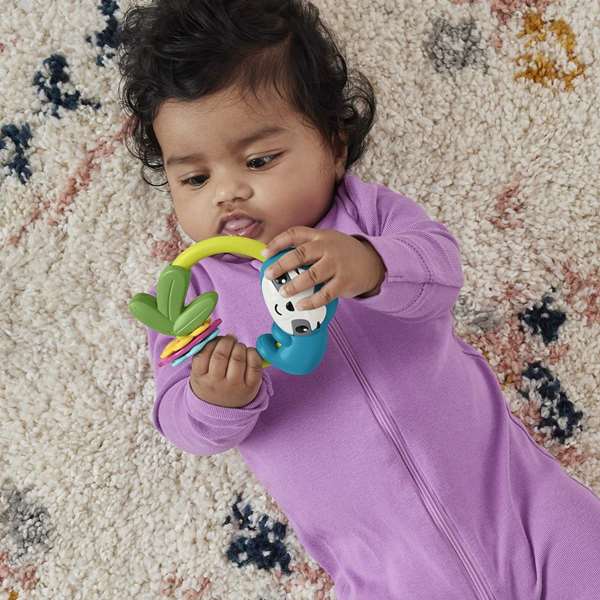 Fisher-Price - Sonajeros y mordedores animales - Série d'anneaux de dentition et hochets pour bébé, modèles assortis
