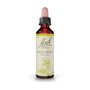 Bach Original Wild Rose Nº37 - Élixir floral 20 ml