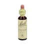 Bach Original Wild Rose Nº37 - Élixir floral 20 ml