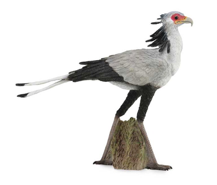 Collecta Pajaro Secretario - Figurine animalière échelle L, peinte à la main, matériaux de haute qualité - Référence 88796 Collecta Pajaro Secretario - Figurine animalière échelle L, peinte à la main, matériaux de haute qualité - Référence 88796