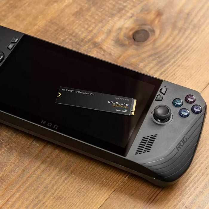 Disque dur Western Digital WDS500G4X0E 500 GB SSD