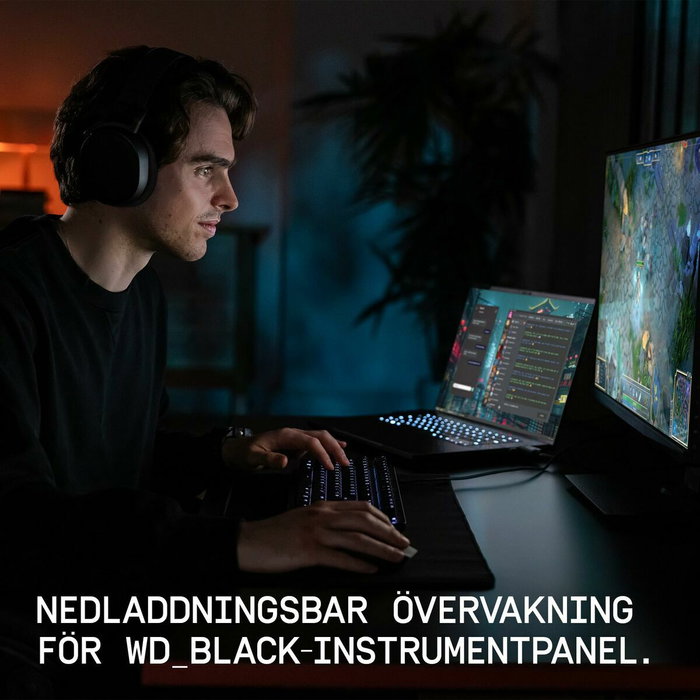 Disque dur Western Digital WDS500G4X0E 500 GB SSD