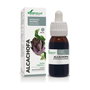 Soria Natural Extrait Naturel d'Artichaut Formule XXI 50 ml