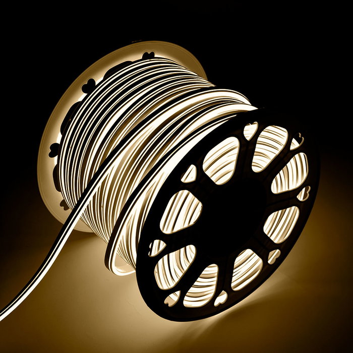 Ruban LED Neon Flex Blanc Froid 24V 6W/m 6000K
