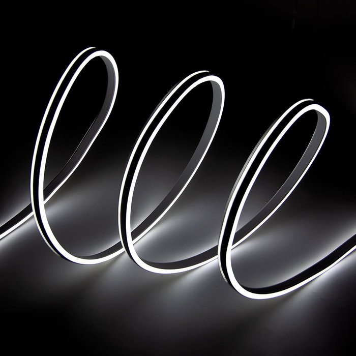 Ruban LED Neon Flex Blanc Froid 24V 6W/m 6000K