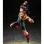 Tamashii Nations S.H.Figuarts Bardock -The Father of Goku- Dragon Ball Z