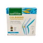 Santiveri Artrosin Colágeno Líquido Hialurónico 16 vials x 15 ml