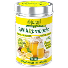 TONGIL Aktidrenal Savia Kombucha