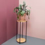 Day Pédestal pour plantes avec étagère inférieure, 30x70 cm