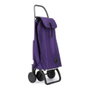 Rolser I-Max MF4 Chariot de Courses Aluminium 2/4 Roues Sac 43L Format Sac à Dos Pliable - More