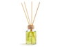 Acorde Mikado Diffuseur 50 ml avec Bâton Bambou Vert 7x17x5 cm Verre et Bois (Set de 12)