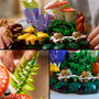 LEGO Botanicals 11505 Les champignons des bois