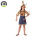Déguisement Fille Épouvantail Le Magicien d'Oz, Costume Fantaisie Marron en Polyester Taille 5-6 Ans, 36+ Mois