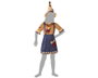 Déguisement Fille Épouvantail Le Magicien d'Oz, Costume Fantaisie Marron en Polyester Taille 5-6 Ans, 36+ Mois