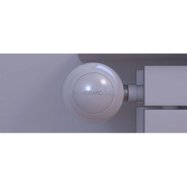 Fibaro Heat Controller FGT-001