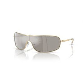 Michael Kors MK1139-10146G Lunettes de soleil Doré et Gris