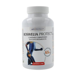 INTERSA BOSWELIA PROTECT 500mg 45 perles