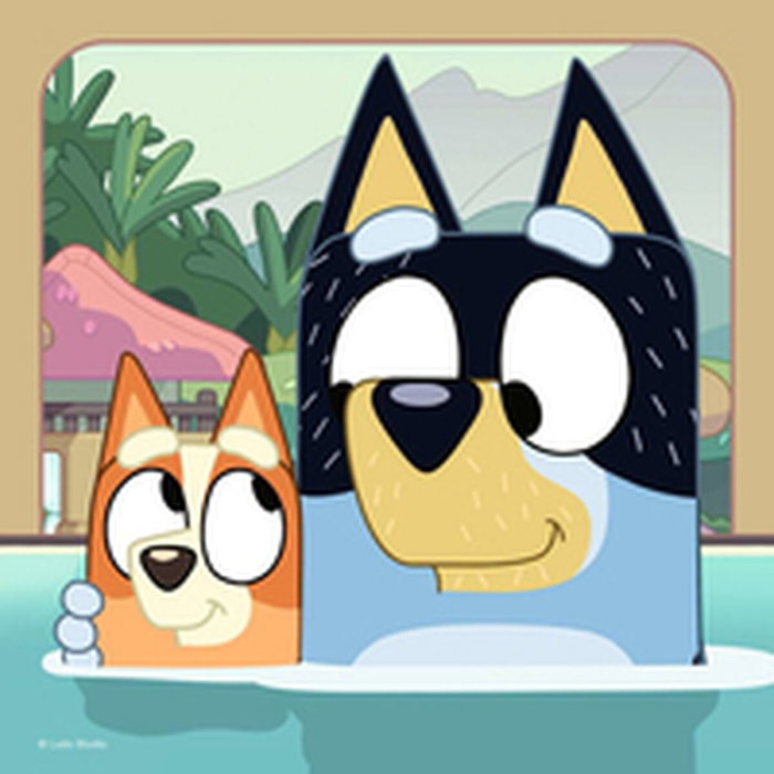 Set de 3 Puzzles Ravensburger 147 Pièces