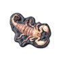 SES Creative Kit de moulage et peinture Animaux effrayants avec peinture Glow in the Dark
