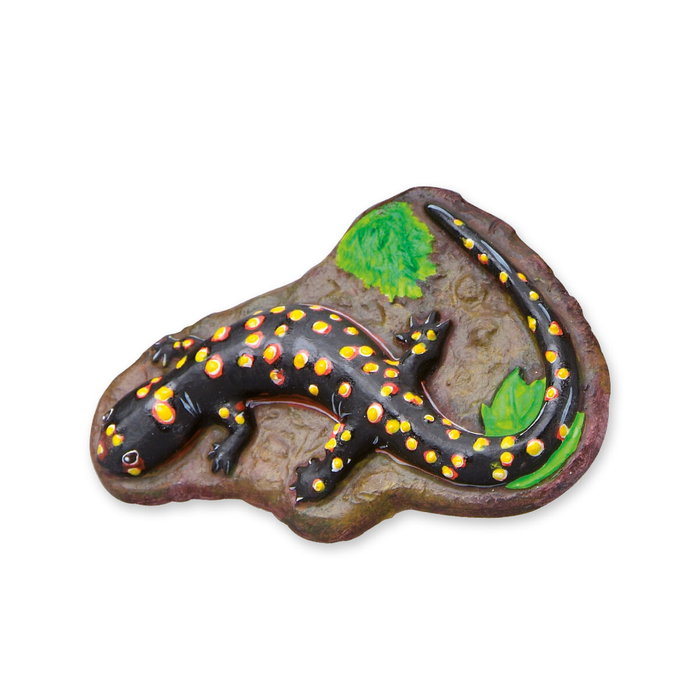 SES Creative Kit de moulage et peinture Animaux effrayants avec peinture Glow in the Dark SES Creative Kit de moulage et peinture Animaux effrayants avec peinture Glow in the Dark