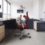 Piqueras Y Crespo Sillón Albacete Gris clair avec mécanisme Sincro