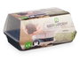 Ibergarden Serre en Plastique Transparente 4,1 L avec Aération 38x18x24 cm (Set de 8)