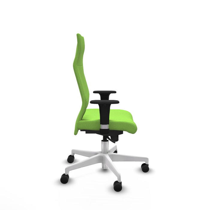 Piqueras Y Crespo Fauteuil Albacete, Mécanisme Synchro, Tissu Pistache Piqueras Y Crespo Fauteuil Albacete, Mécanisme Synchro, Tissu Pistache
