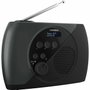 Thomson RT350DAB Radio portable DAB+ et FM Gris et Noir