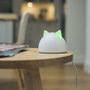 Sureflap Hub Blanc compatible avec les produits Connect