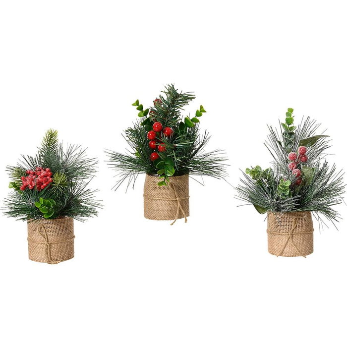 Plante décorative Everlands Noël 20 x 15 cm (3 Unités) Plante décorative Everlands Noël 20 x 15 cm (3 Unités)
