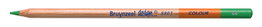 Bruynzeel Design Crayon de couleur Vert