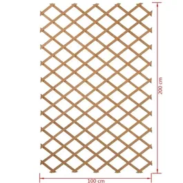 Nature Treillis extensible en bois pour jardin 100 x 200 cm - Palissade pour plantes grimpantes