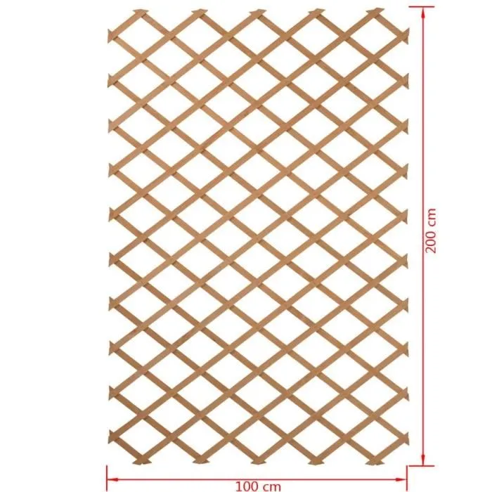 Nature Treillis extensible en bois pour jardin 100 x 200 cm - Palissade pour plantes grimpantes