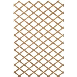 Nature Treillis extensible en bois pour jardin 100 x 200 cm - Palissade pour plantes grimpantes