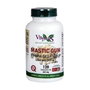 Vbyotics Mastic Gum résine de lentisque 120 capsules