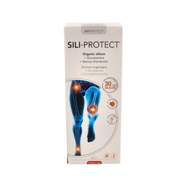INTERSA SILI-PROTECT 500ml