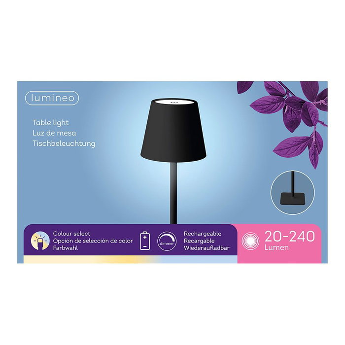 Lumineo Lampe LED de Table Rechargeable Intérieur Extérieur 27 cm Noir USB-C 3600 mAh