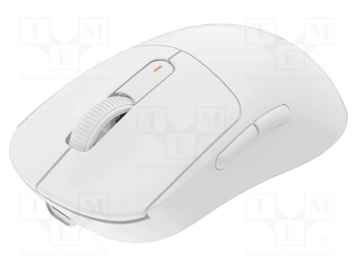 FURY TANTO T4 Souris sans fil Blanche