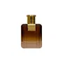 Diane Castel Feu Ardent Eau de Parfum 100 ml